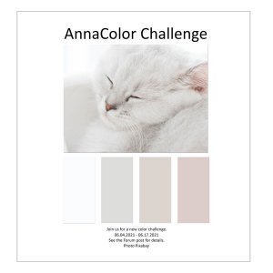 AnnaColor Challenge 06.04.2021 - 06.17.2021