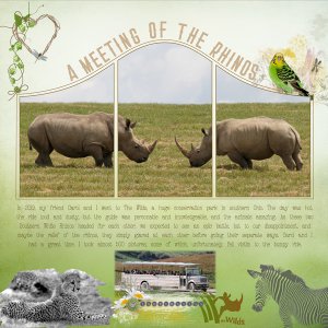 Mediterranka-Triptych-Rhinos