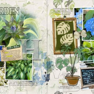 MultiFoto Template Album 2 Home & Garden Report