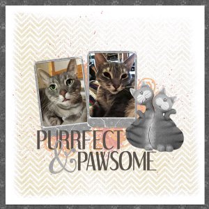 Purrfect & Pawsome