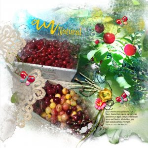 Picking Cherries