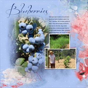 Blueberries-AnnaColor