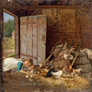 Where is the Hay?