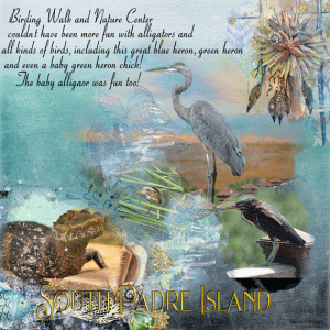 Birding-Walk and Nature Center in South Padre Island