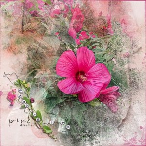 AnnaColor | Pink Dreams