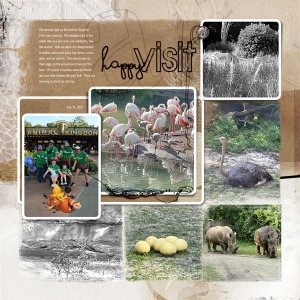 2021Jul16-safari-pg1-web.jpg