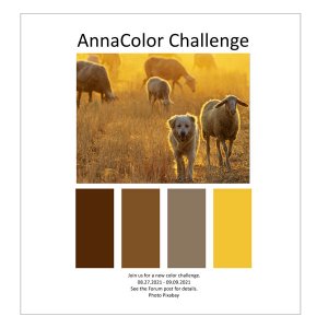 AnnaColor Challenge 08.27.2021 - 09.09.2021