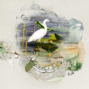Snowy-Egret