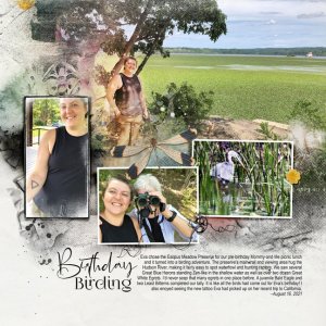 Birthday Birding