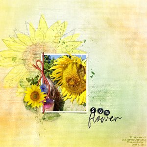 Sunflower-Festival-2021 - Challenge 7