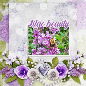 Lilac-beauty.jpg