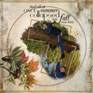 summer collapsed into fall