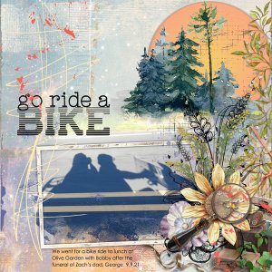 Go Ride a Bike