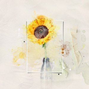 Sunflower---Anna-Lift