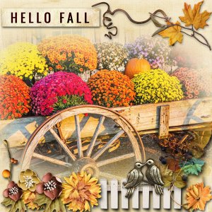 Hello Fall by Palvinka