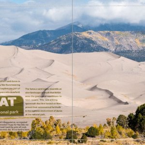 Fall Color at Great Sand Dunes NP
