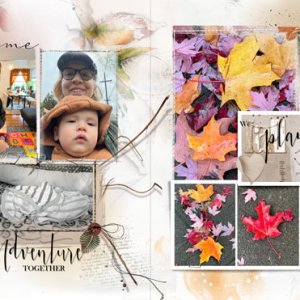 FotoInspired Template 2U Fall with Oz