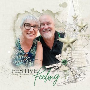 Festive Feeling - 2021 Christmas Card