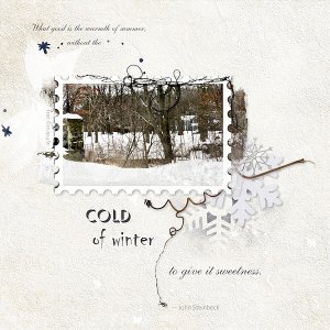 Cold of Winter