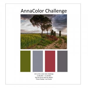 AnnaColor Challenge 11.06.2021 - 11.18.2021