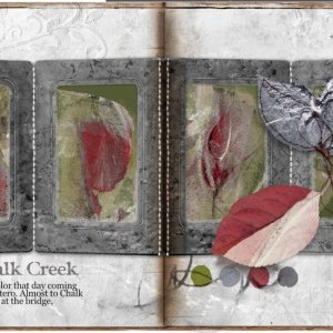 AnnaColor 11.06.2021: Along Chalk Creek