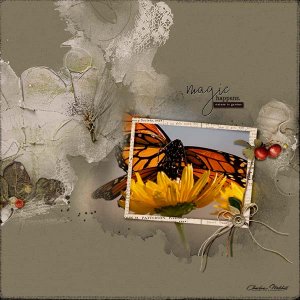 APP Verdure - Butterfly