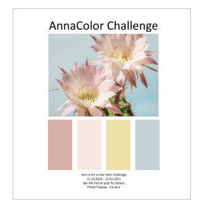 AnnaColor Challenge 11.19.2021 - 12.02.2021