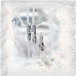 Winter Frost.jpg