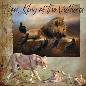 Lion, King of the Vultures. Lion Border-challenge-2