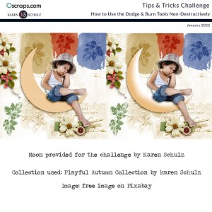 Tips & Tricks Challenge