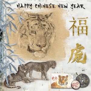 Viva Artistry Chinese New Year