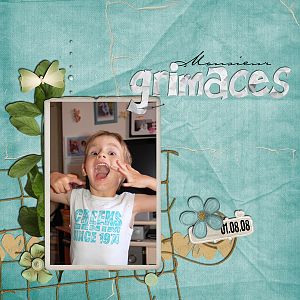 Monsieur grimaces