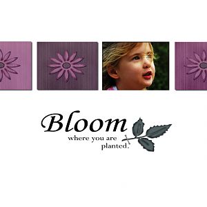 bloom