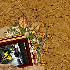 Cali_Cryma_216_Autumn_Sunflowers_Jasmine_Lencula