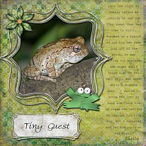 Tiny Guest
