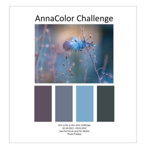 AnnaColor Challenge 02.18.2022 - 03.03.2022