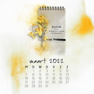 22-03-calendar-instagram-maart