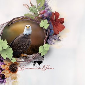 Beautiful-and-proud--Bald-Eagle,-Challenge-5-White-Space
