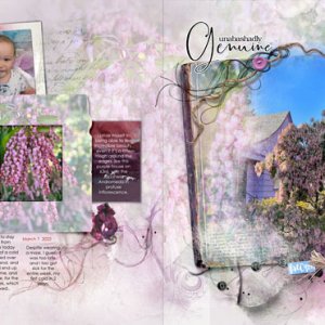 Scenic Template Album 6 - Purple House & Andromeda