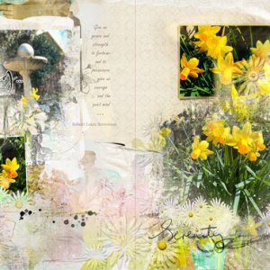 Spring Value Pack, Daffodils