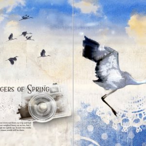 AnnaLIFT: Harbingers of Spring