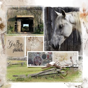FotoInspired Template Pack 2W & APP Narcissus - Gather Photos