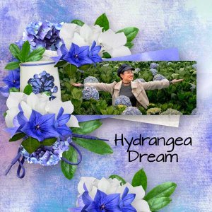 Hydrangea-Dream-xuxper.jpg