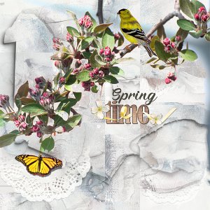 Spring Time_Jouer_Joan Robillard 600.jpg