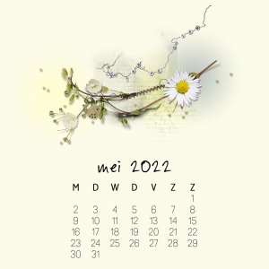 22-05-calendar-instagram-may