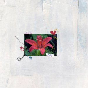Asiatic-Lily