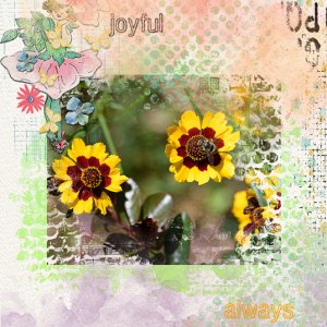 Blanket Flower and Bumblebee