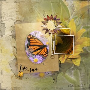 ArtPlay Palette Sol and Watercolor Template Album No. 10 - Sunflowers