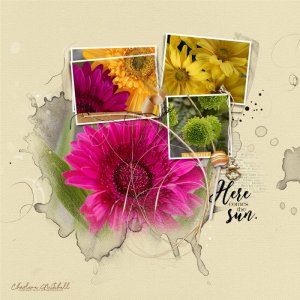 AnnaColor-APP Sol-Watercolor Template Album10 - Gerbera Daisies