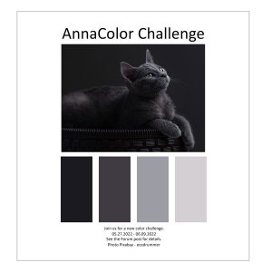 AnnaColor Challenge 05.27.2022 - 06.09.2022